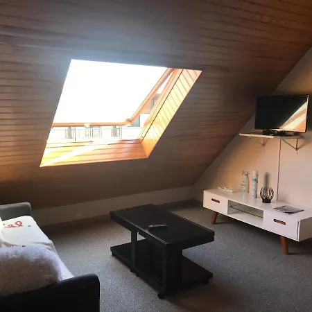 Apartament Duplex En Au Pla D'adet Saint-Lary-Soulan